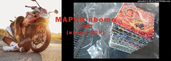 прущие грибы Верхний Тагил