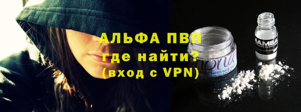 прущие грибы Верхний Тагил