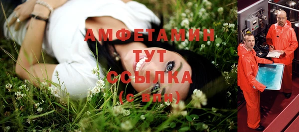 прущие грибы Верхний Тагил