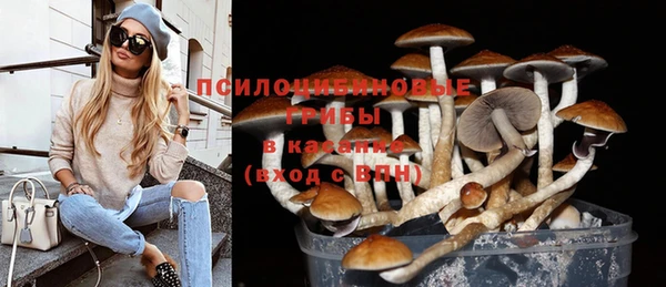 гидра Верхнеуральск
