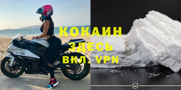прущие грибы Верхний Тагил