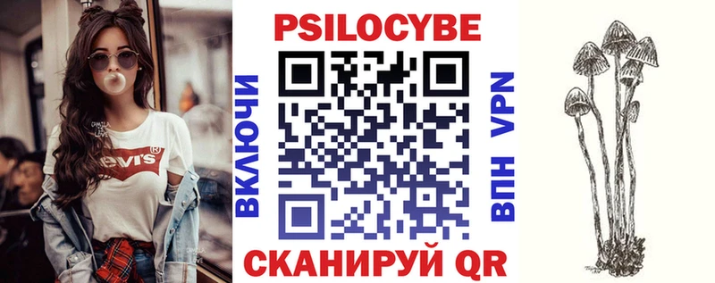 купить наркотики цена  Кировск  Псилоцибиновые грибы мухоморы 