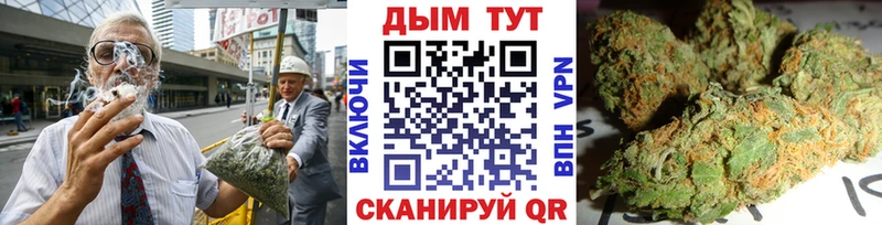 Бошки марихуана ГИДРОПОН Кировск